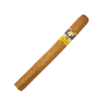 Cohiba Siglo III/25